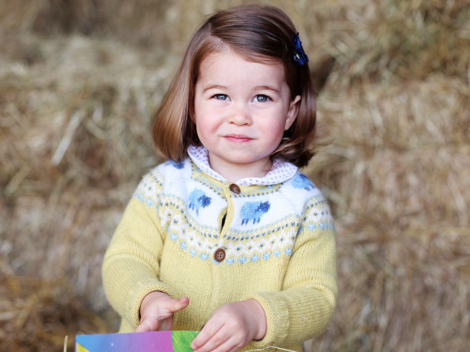 2.jpg?crop=1xw:1.0xh;center,