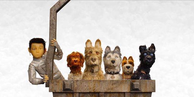 Carnivore, Dog breed, Dog, Canidae, Companion dog, Toy, Sculpture, Working dog, Pack animal, Herding dog, 