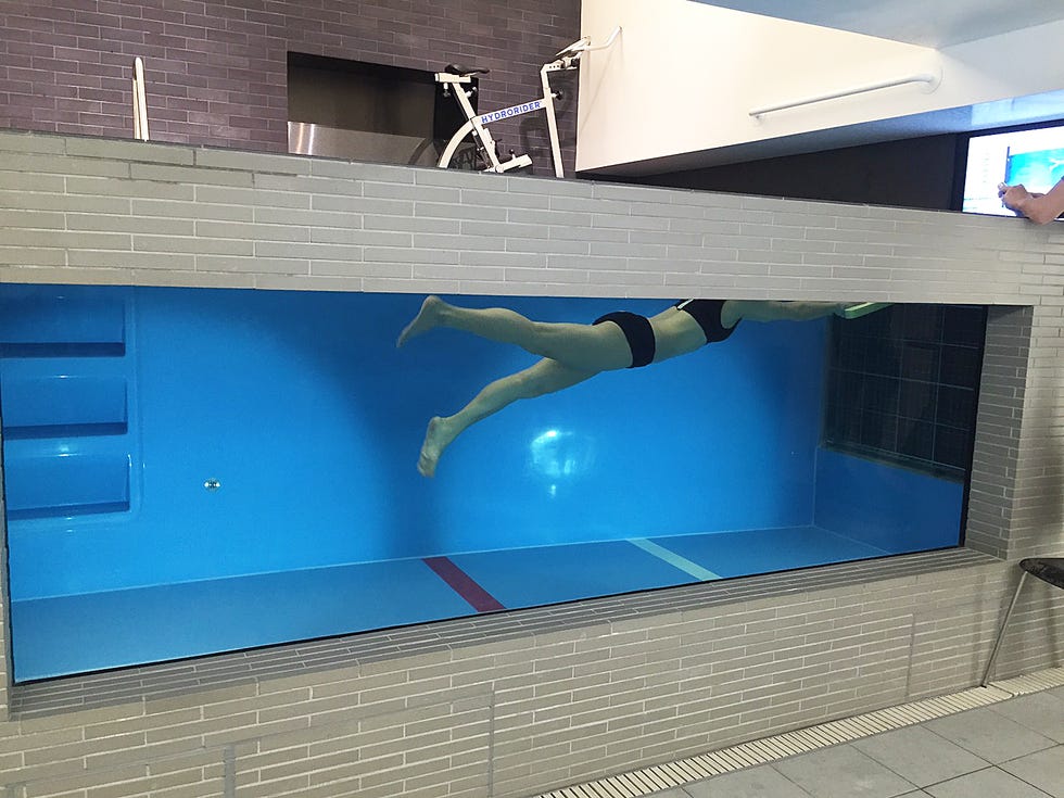 Swimming pool, Wall, Water, Leisure centre, Architecture, Recreation, Leisure, Glass, Diving, Tile, 