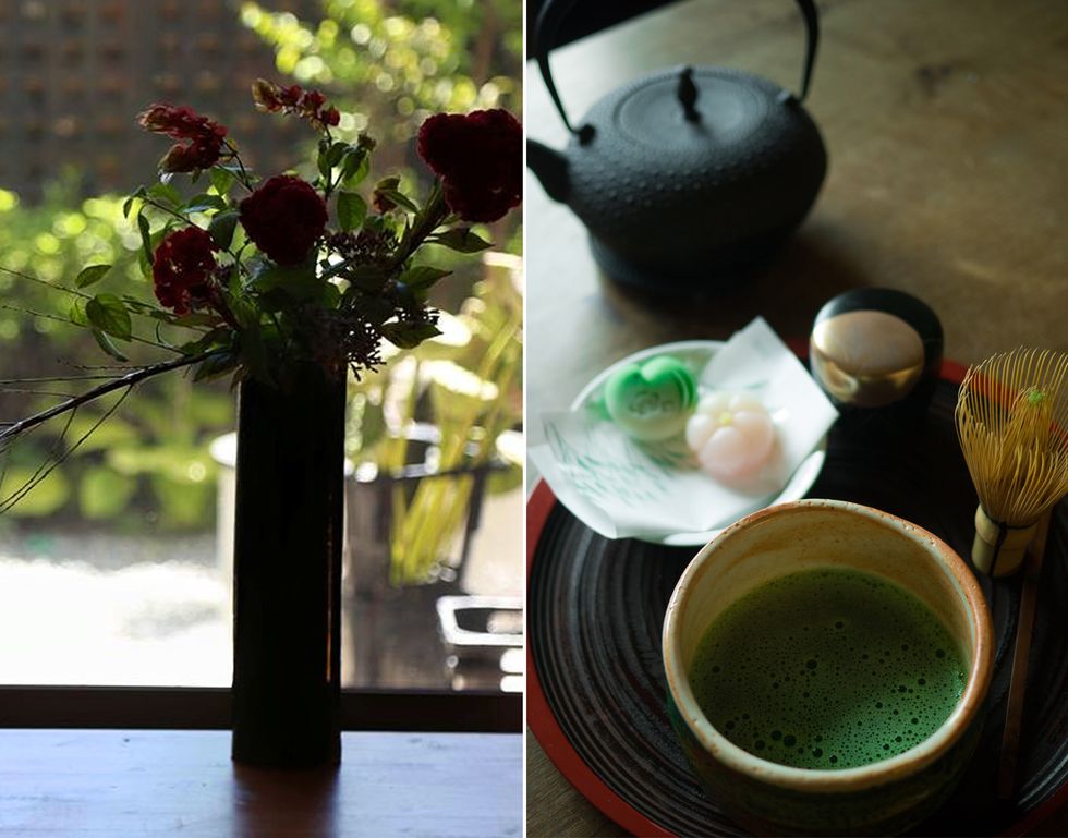 Matcha, Green, Drink, Leaf, Table, Chinese herb tea, Cup, Plant, Flower, Tableware, 