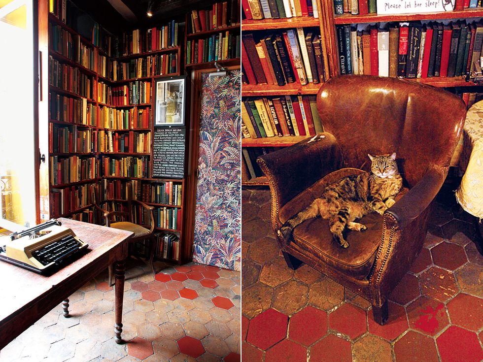 Bookcase, Furniture, Room, Interior design, Library, Shelving, Book, Living room, Carpet, Building, 