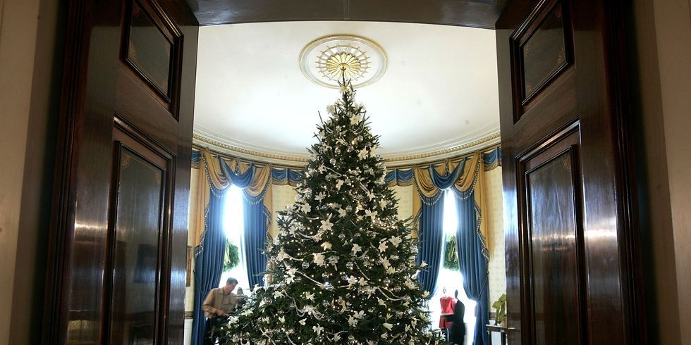 Christmas, Tree, Christmas tree, Christmas decoration, Property, Room, Interior design, Architecture, Home, Interior design, 