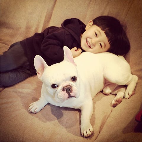 ウチの子が可愛すぎる 今すぐフォローすべきインスタグラムアカウント15 ウチの子が可愛すぎる 今すぐフォローすべきインスタグラムアカウント15