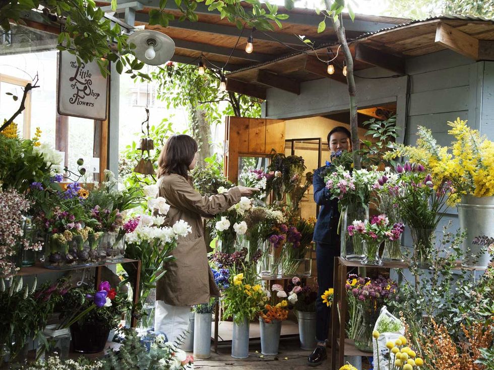 Floristry, Flower, Flower Arranging, Floral design, Plant, Building, Botany, Garden, Houseplant, Art, 