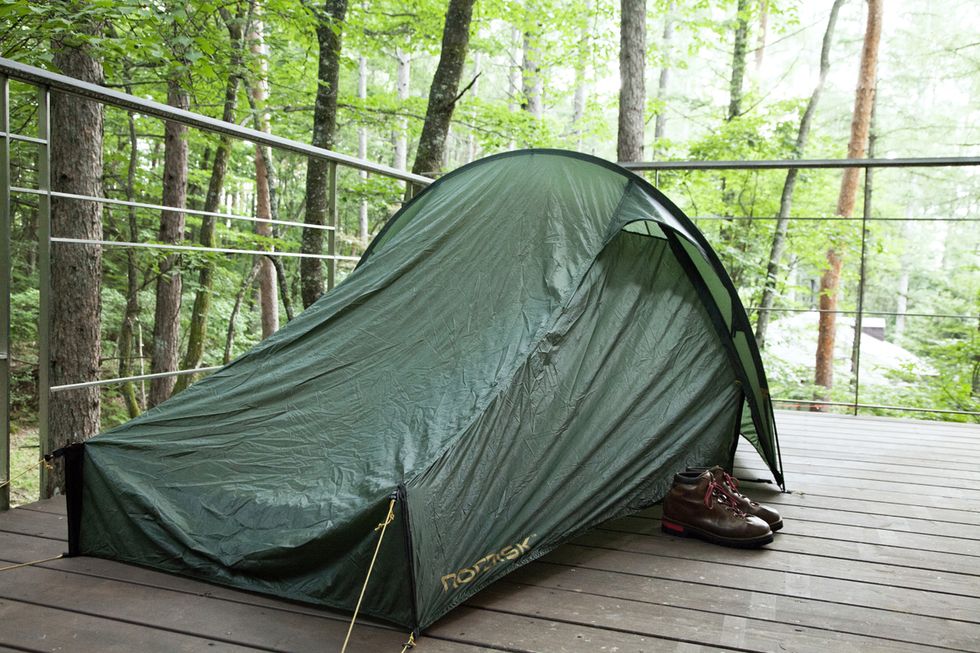 Tent, Camping, Tree, Leaf, Leisure, State park, Jungle, Woodland, Plant community, Plant, 