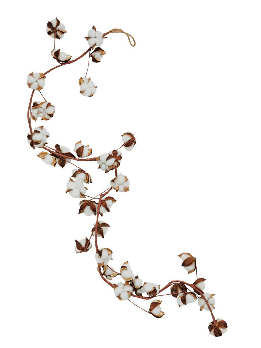 Plant, Branch, Twig, Flower, Body jewelry, 