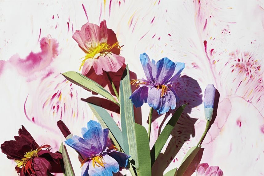 Petal, Flower, Paint, Art, Flowering plant, Terrestrial plant, Illustration, Watercolor paint, Painting, Spring, 