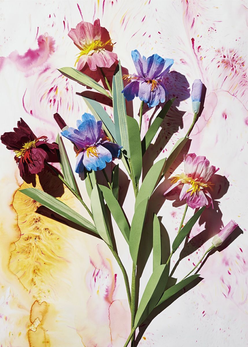 Petal, Flower, Paint, Art, Flowering plant, Terrestrial plant, Illustration, Watercolor paint, Painting, Spring, 