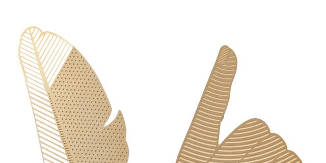 Finger, Beige, Feather, Gesture, Thumb, Safety glove, Illustration, Natural material, Graphics, 
