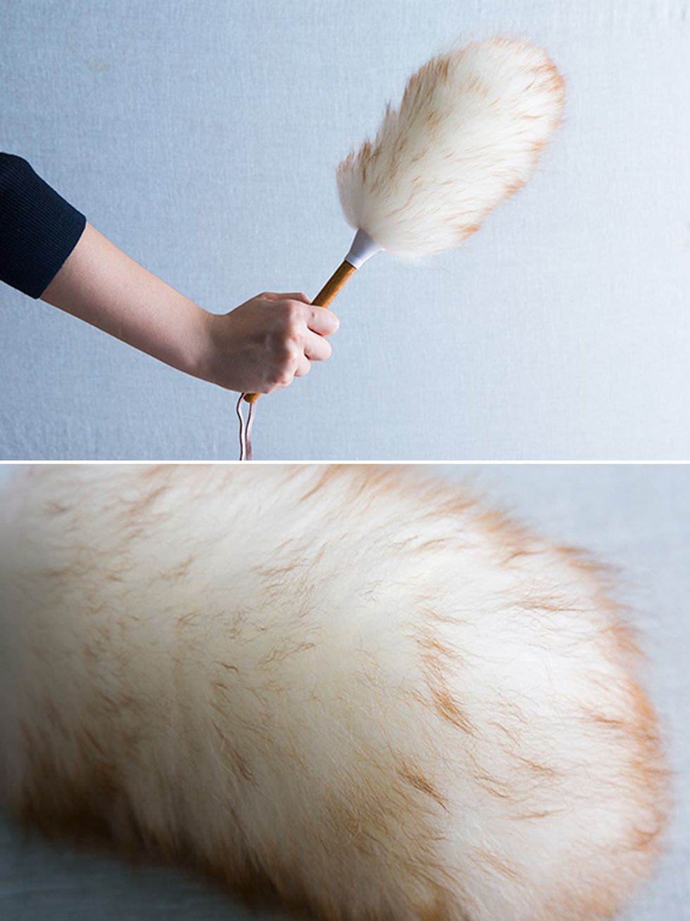 Skin, Brush, Ingredient, Wrist, Fawn, Peach, Natural material, Paint brush, Animal product, Feather, 