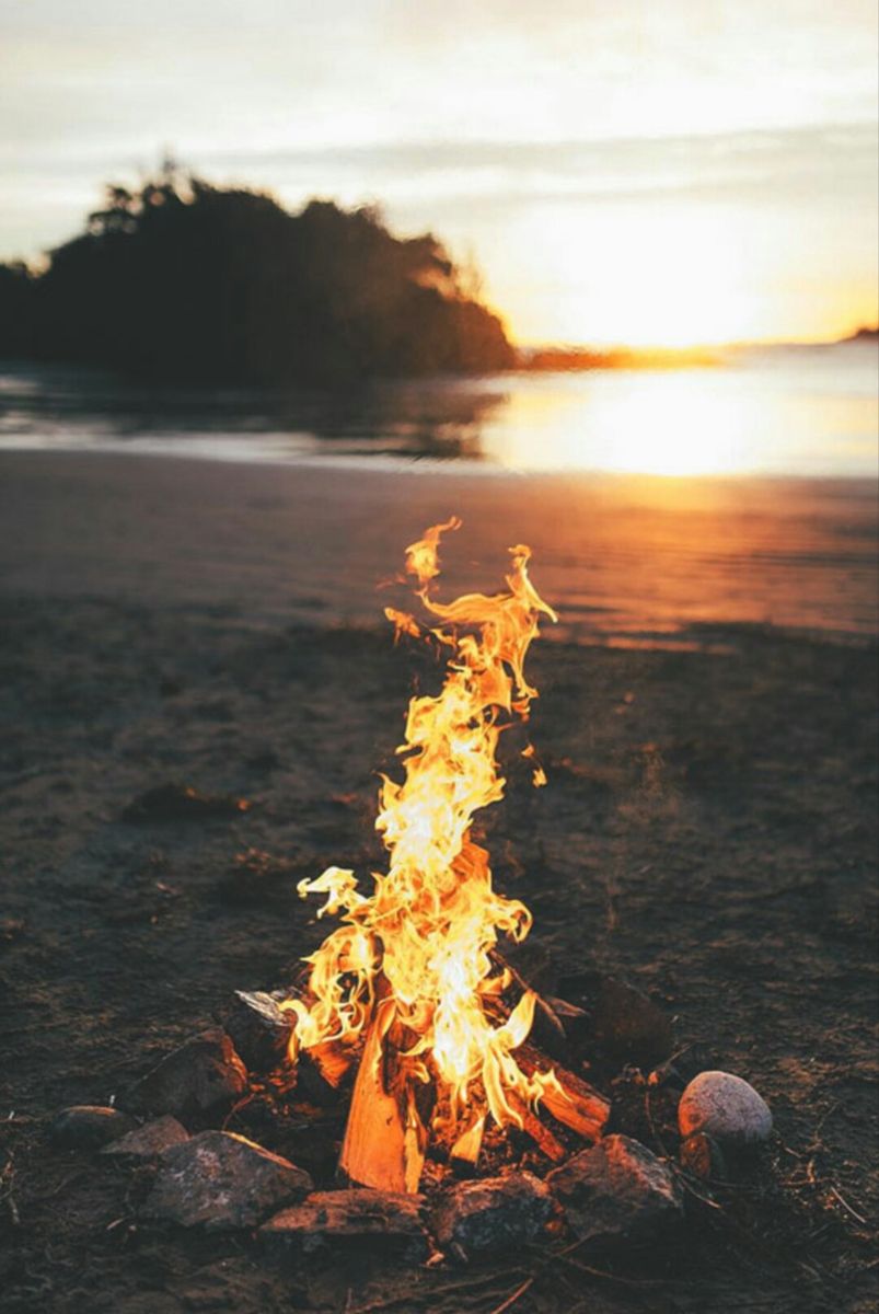 Wood, Bonfire, Atmosphere, Amber, Sunlight, Heat, Fire, Sunset, Flame, Sunrise, 