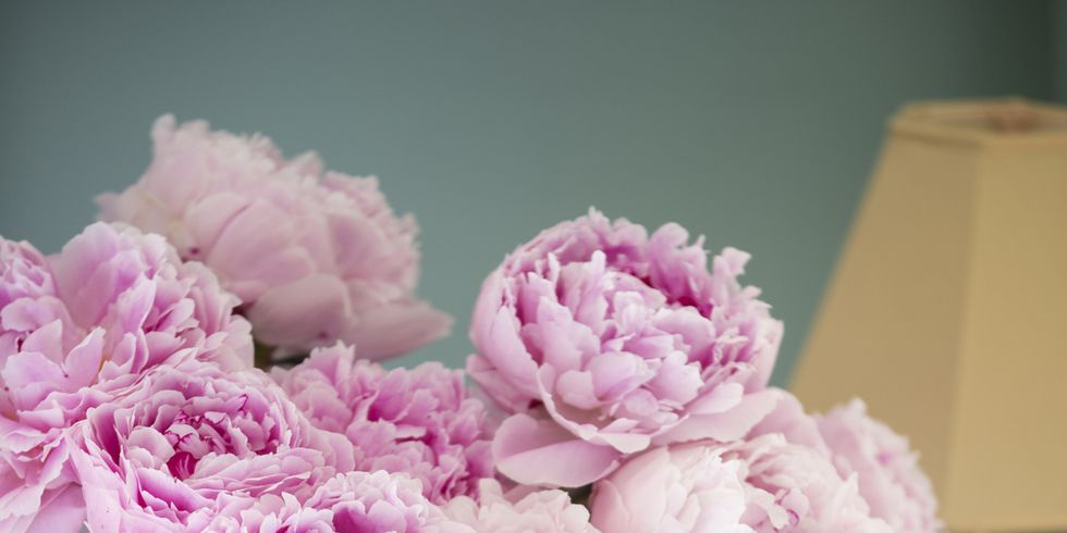 Petal, Bouquet, Flower, Cut flowers, Pink, Centrepiece, Floristry, Flowering plant, Flower Arranging, Interior design, 