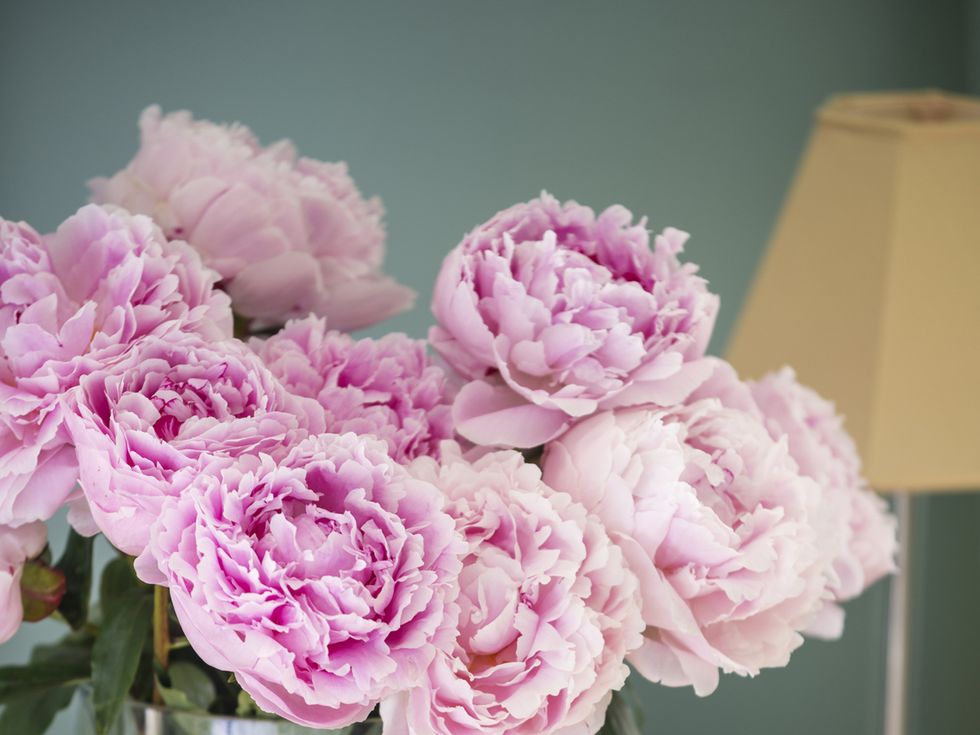 Petal, Bouquet, Flower, Cut flowers, Pink, Centrepiece, Floristry, Flowering plant, Flower Arranging, Interior design, 
