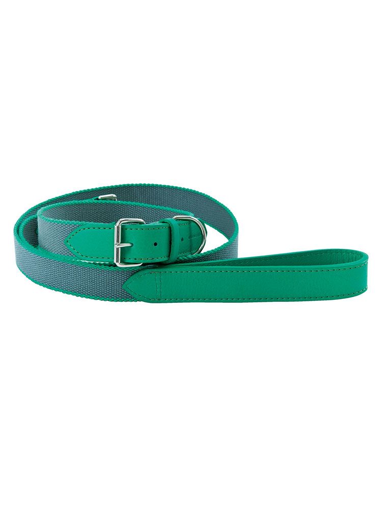 Costume accessory, Pet supply, Turquoise, Collar, Bracelet, Wristband, Belt buckle, Dog collar, Buckle, Belt, 