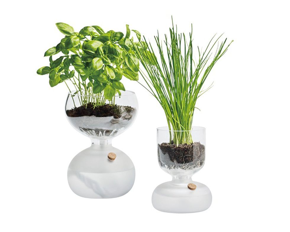 Flowerpot, Terrestrial plant, Vase, Houseplant, Artifact, Annual plant, Plant stem, Herb, Silver, Natural material, 