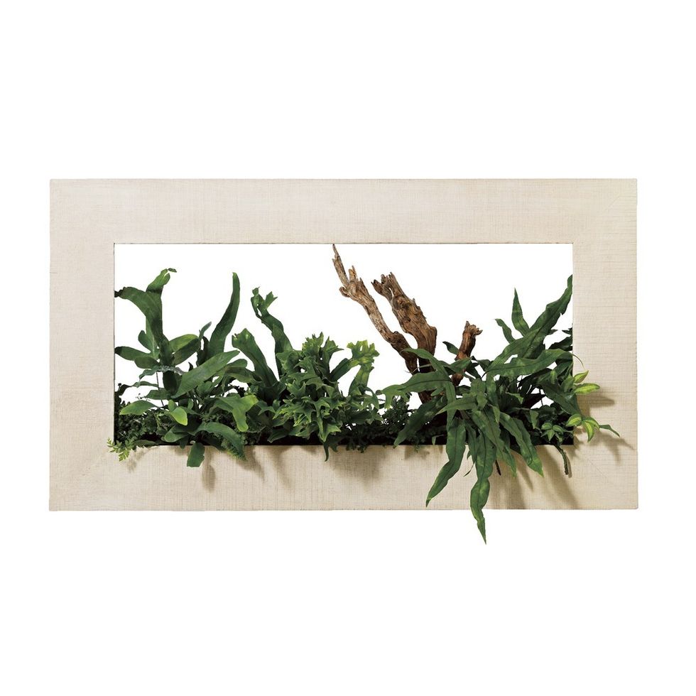 Wood, Branch, Leaf, Twig, Botany, Natural material, Plant stem, Herb, Feather, Painting, 