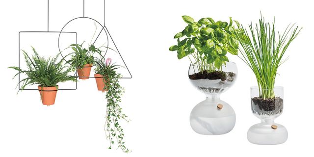 Flowerpot, Plant, Houseplant, Interior design, Vase, Herb, Plant stem, Annual plant, Artifact, 