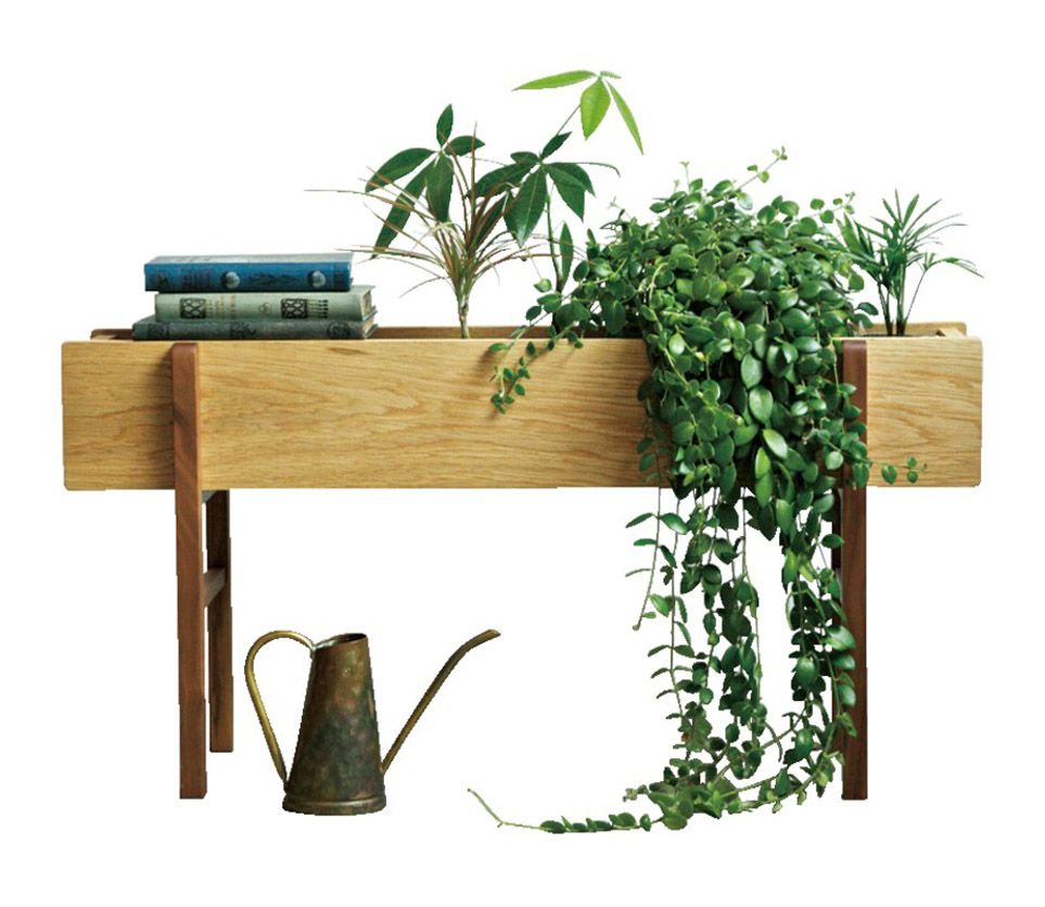 Furniture, Flowerpot, Houseplant, Table, Plant, Desk, Shelf, Rectangle, Herb, Sofa tables, 