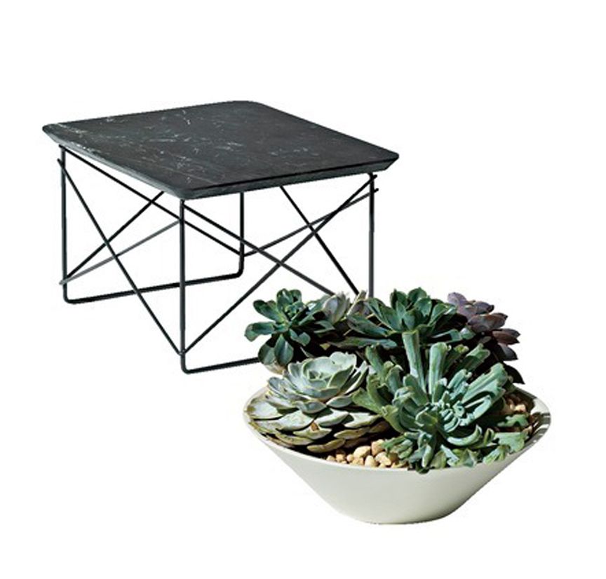 Table, Flowerpot, Outdoor table, Furniture, Plant, Houseplant, Coffee table, Flower, Echeveria, Outdoor furniture, 