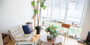 Flowerpot, Interior design, Plant, Room, Furniture, Table, Flooring, Interior design, Coffee table, Home, 