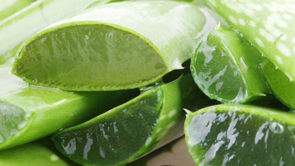 Green, Leaf, Photograph, Light, Photography, Close-up, Produce, Vegetable, Macro photography, Whole food, 