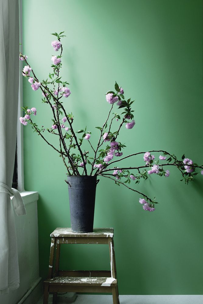 Green, Ikebana, Flowerpot, Flower, Branch, Houseplant, Plant, Pink, Tree, Spring, 