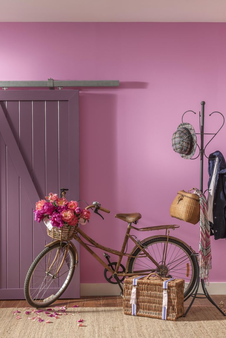 Pink, Bicycle wheel, Bicycle, Purple, Violet, Bicycle accessory, Wall, Magenta, Yellow, Room, 