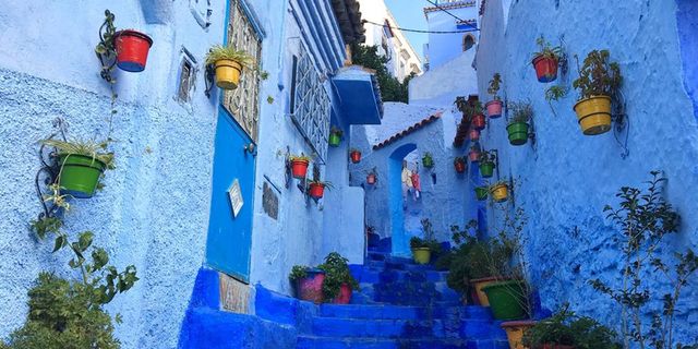 Blue, Neighbourhood, Majorelle blue, Town, Paint, Azure, House, Lavender, Painting, Floral design, 