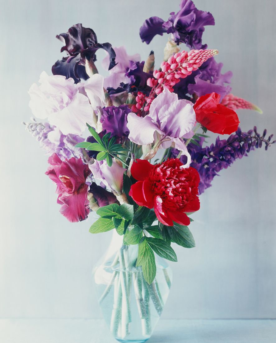 Petal, Flower, Cut flowers, Pink, Bouquet, Flowering plant, Floristry, Flower Arranging, Floral design, Artifact, 