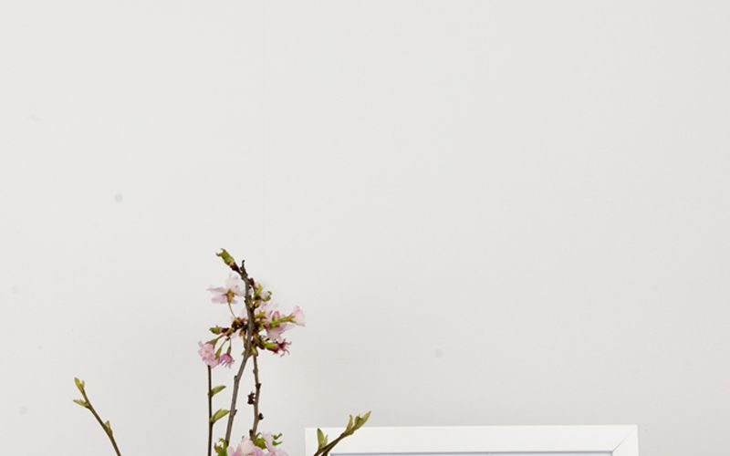 Ikebana, Twig, Branch, Vase, Flower, Still life photography, Flowerpot, Plant, Room, Cut flowers, 