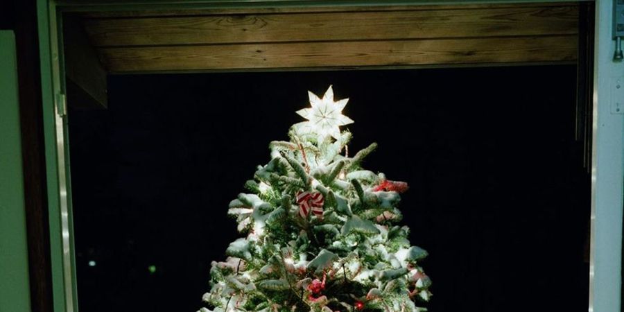 Christmas tree, Christmas decoration, Interior design, Christmas ornament, Woody plant, Interior design, Holiday ornament, Holiday, Christmas eve, Ornament, 
