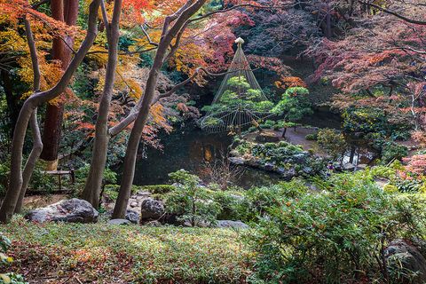 日本国外の日本庭園