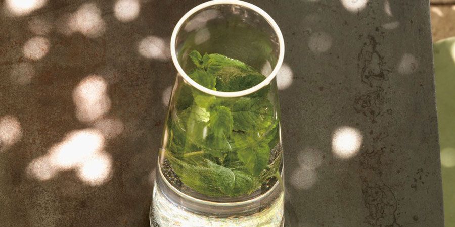 Drink, Glass, Plant, 