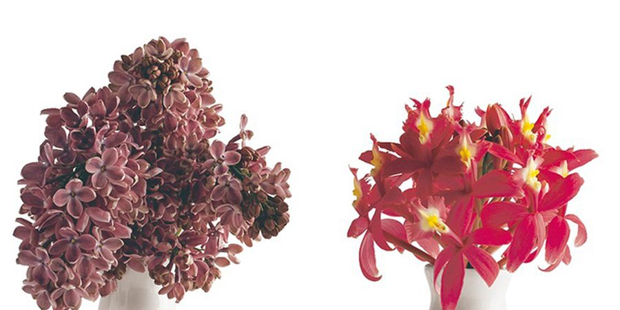 Flower, Flowerpot, Red, Petal, Cut flowers, Artifact, Vase, Flower Arranging, Interior design, Still life photography, 