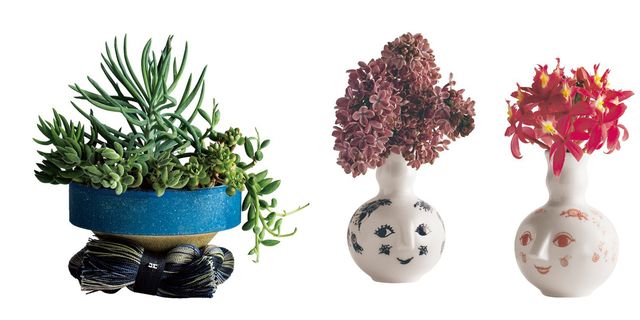 Flowerpot, Plant, Flower, Houseplant, Aquarium decor, Tree, 