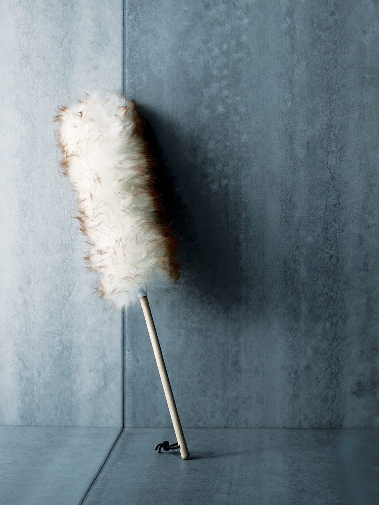 Wall, Household supply, Brush, Household cleaning supply, Concrete, Still life photography, Paint, Paint roller, Broom, 
