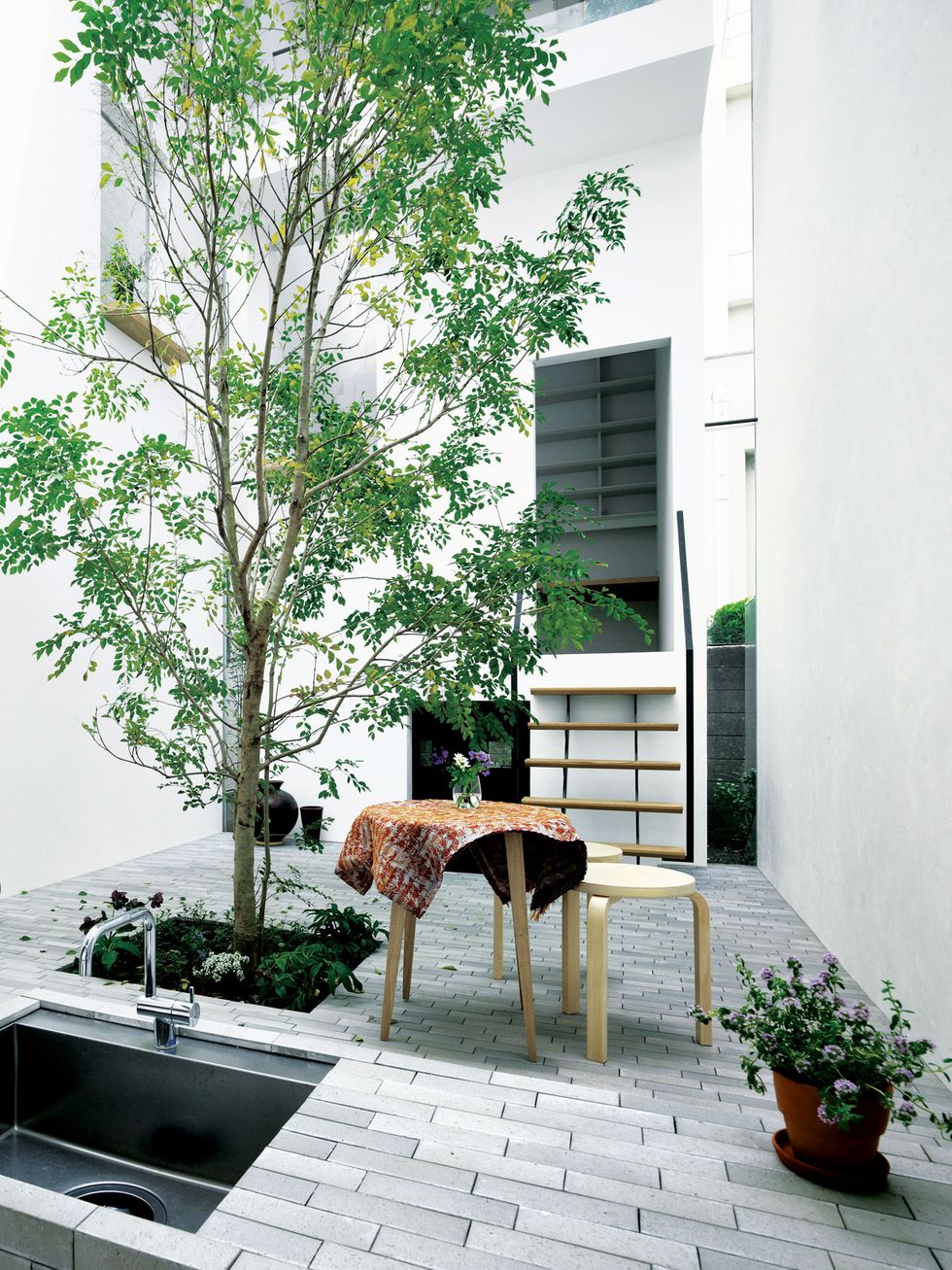 Branch, Flowerpot, Twig, House, Home, Outdoor furniture, Outdoor table, Houseplant, Interior design, Door, 