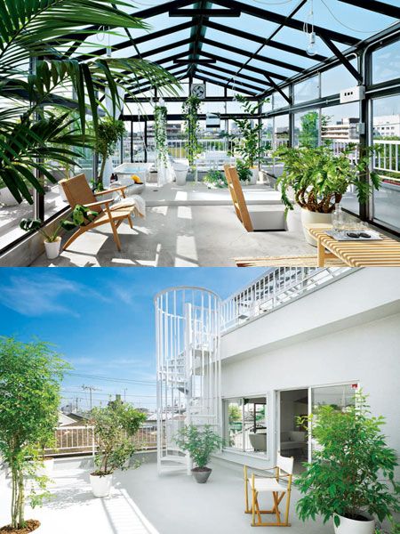 Plant, Property, Flowerpot, Real estate, Stairs, Interior design, Fixture, Home, Daylighting, Interior design, 
