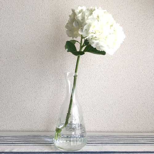 おしゃれ業界人が花とグリーンを愛でるMYフラワーベースとは? おしゃれ業界人が花とグリーンを愛でるMYフラワーベースとは?