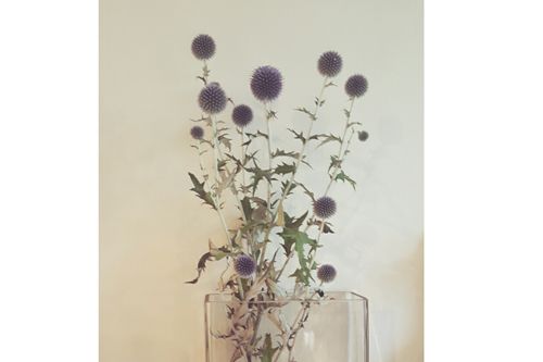 Flower, Botany, Flowering plant, Still life photography, Plant stem, Pedicel, Bird, Floral design, Vase, Still life, 