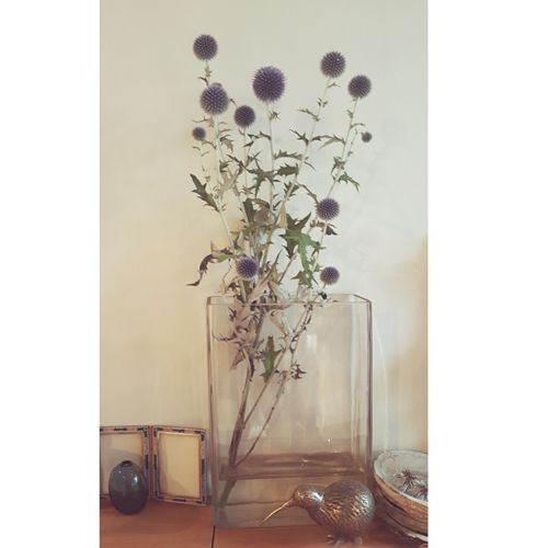 Flower, Botany, Flowering plant, Still life photography, Plant stem, Pedicel, Bird, Floral design, Vase, Still life, 