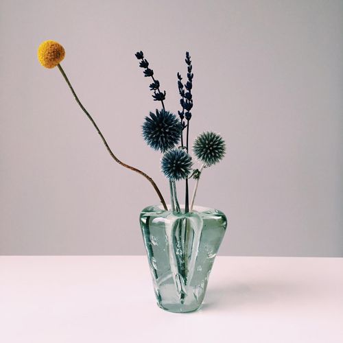 Botany, Still life photography, Vase, Artifact, Plant stem, Teal, Artificial flower, Flower Arranging, Creative arts, Natural material, 