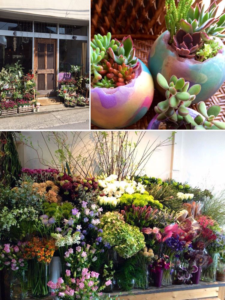 Plant, Flower, Purple, Petal, Lavender, Shrub, Flower Arranging, Floristry, Bouquet, Garden, 