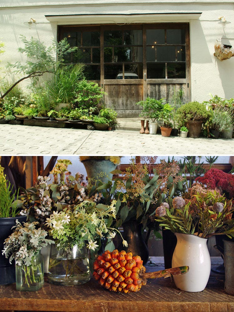 Flowerpot, Plant, Garden, Door, Interior design, Vase, Houseplant, Still life photography, Backyard, Artifact, 