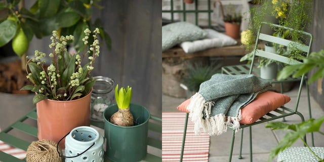 Flowerpot, Houseplant, Plant, Herb, Table, Garden, Room, Textile, Flower, Backyard, 