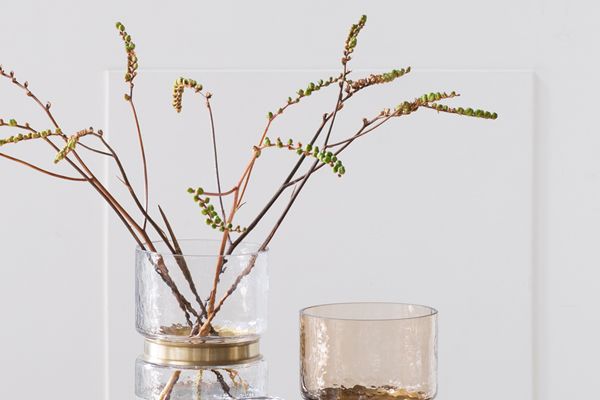 Branch, Twig, Table, Glass, Furniture, Drinkware, Still life photography, Artifact, Vase, Flower Arranging, 