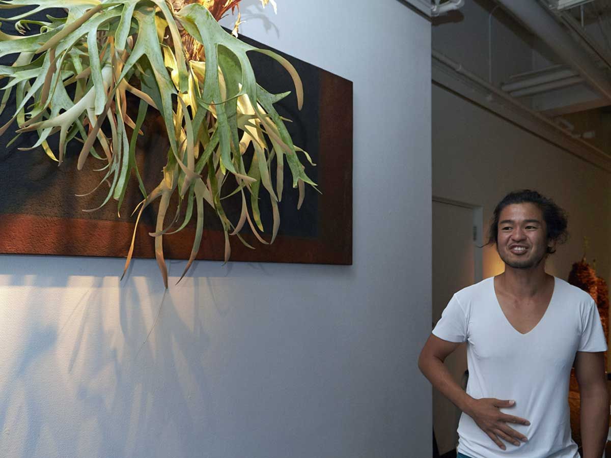 プラントハンター 西畠清順さんによる ウルトラ植物博覧会16 の舞台裏を公開