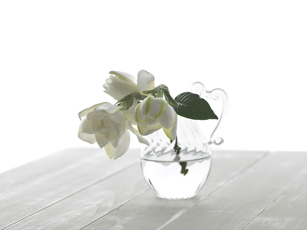 Petal, Cut flowers, Still life photography, Vase, Flowerpot, Artificial flower, Flower Arranging, Flowering plant, Artifact, Floral design, 