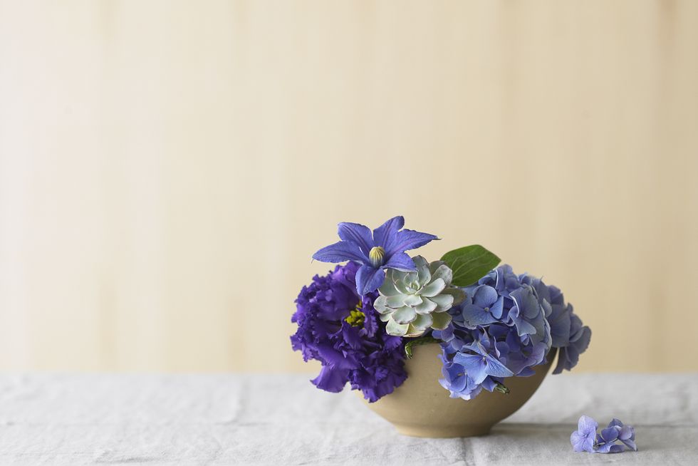 Tablecloth, Blue, Flower, Purple, Lavender, Violet, Petal, Linens, Majorelle blue, Flowerpot, 