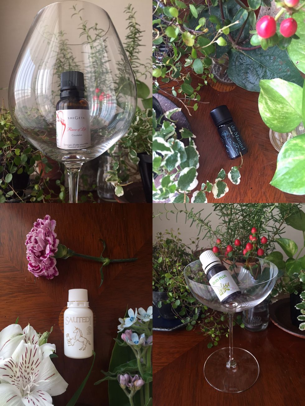 Glass, Stemware, Petal, Flower, Wine glass, Barware, Champagne stemware, Interior design, Drinkware, Flowering plant, 